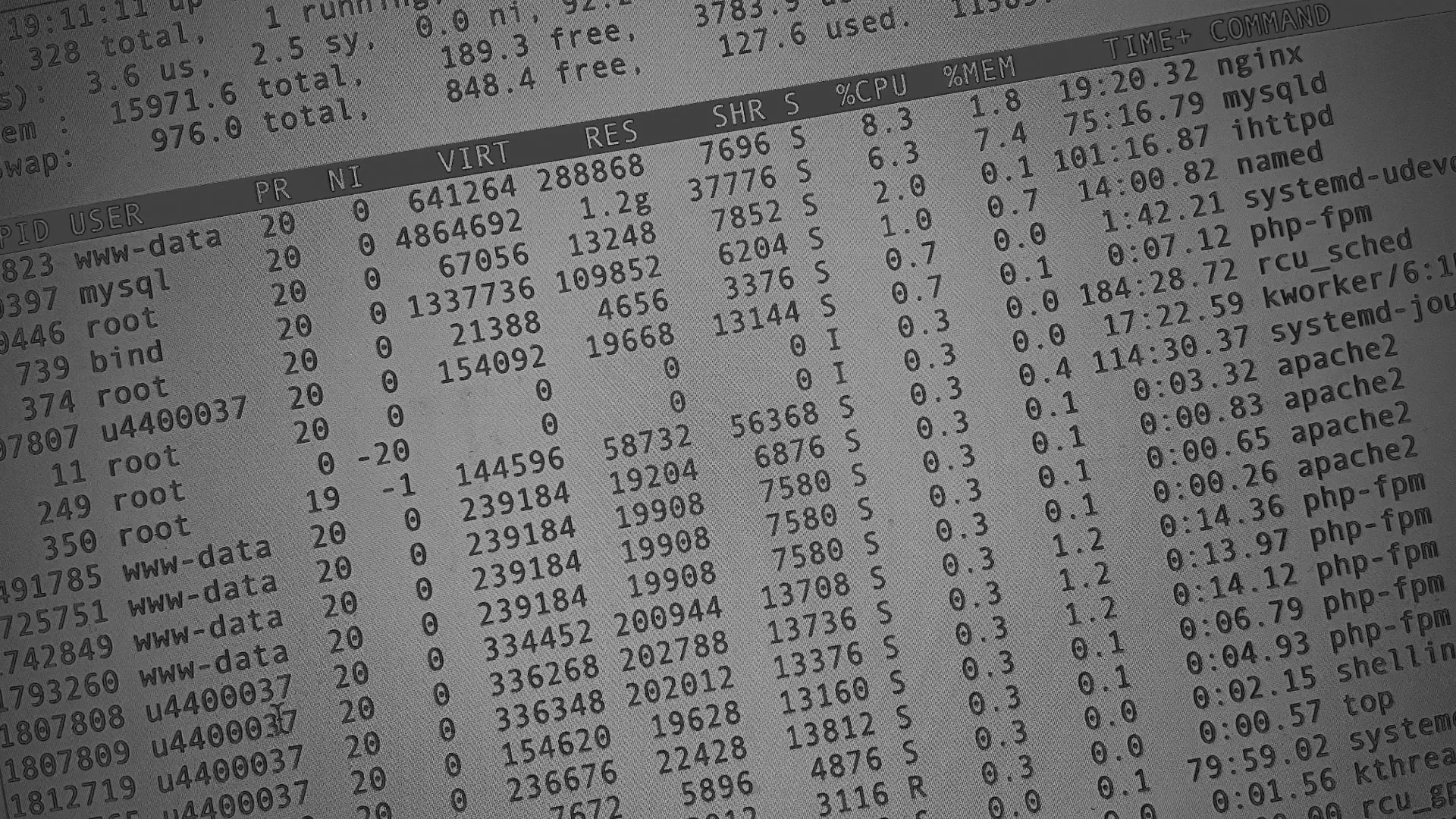 Настройка сервера в Струнино