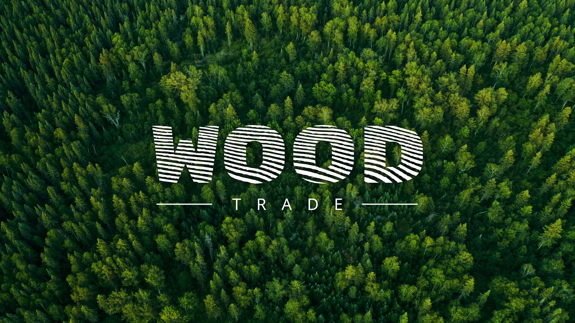 Разработка интернет-магазина компании «Wood Trade» в Струнино