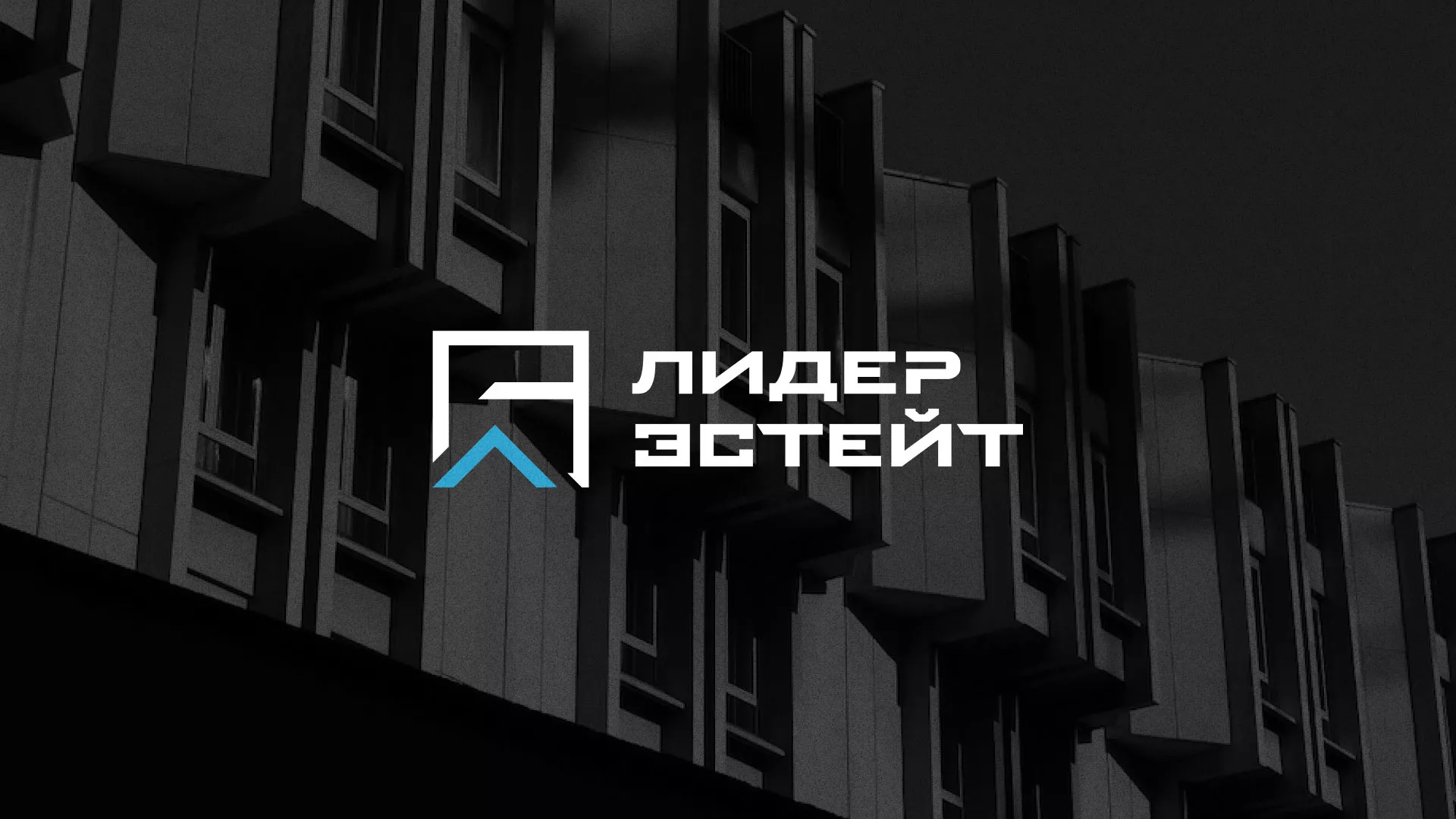 Разработка логотипа агентства недвижимости «Лидер Эстейт» в Струнино