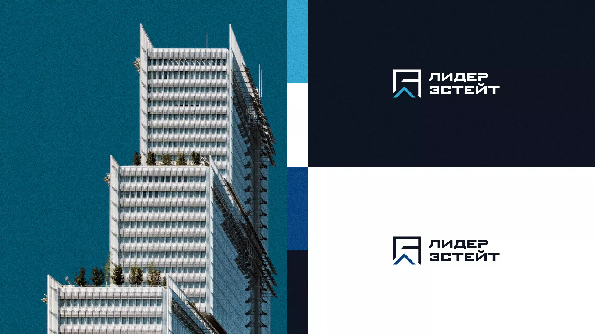 Разработка логотипа агентства недвижимости «Лидер Эстейт» в Струнино